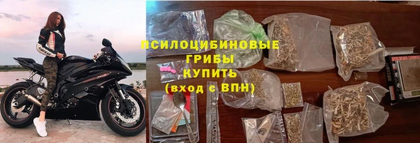 твердый Алексин
