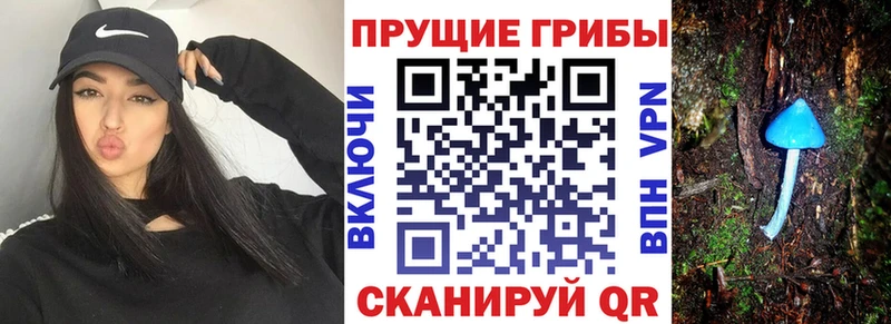 магазин продажи   Тихвин  Псилоцибиновые грибы прущие грибы 